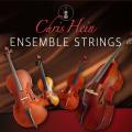 Chris Hein - Ensemble Strings USA and rest of the world